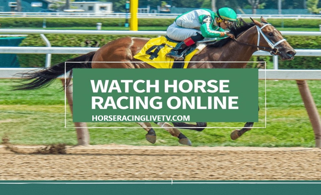 horse race online gambleing