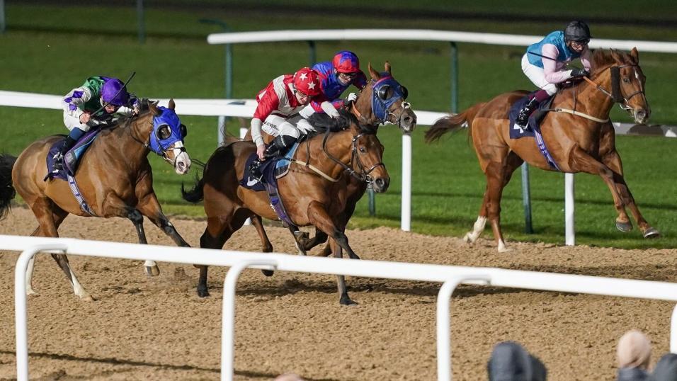 watch-southwell-horse-race-live-stream