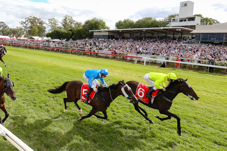 Albury Racecourse