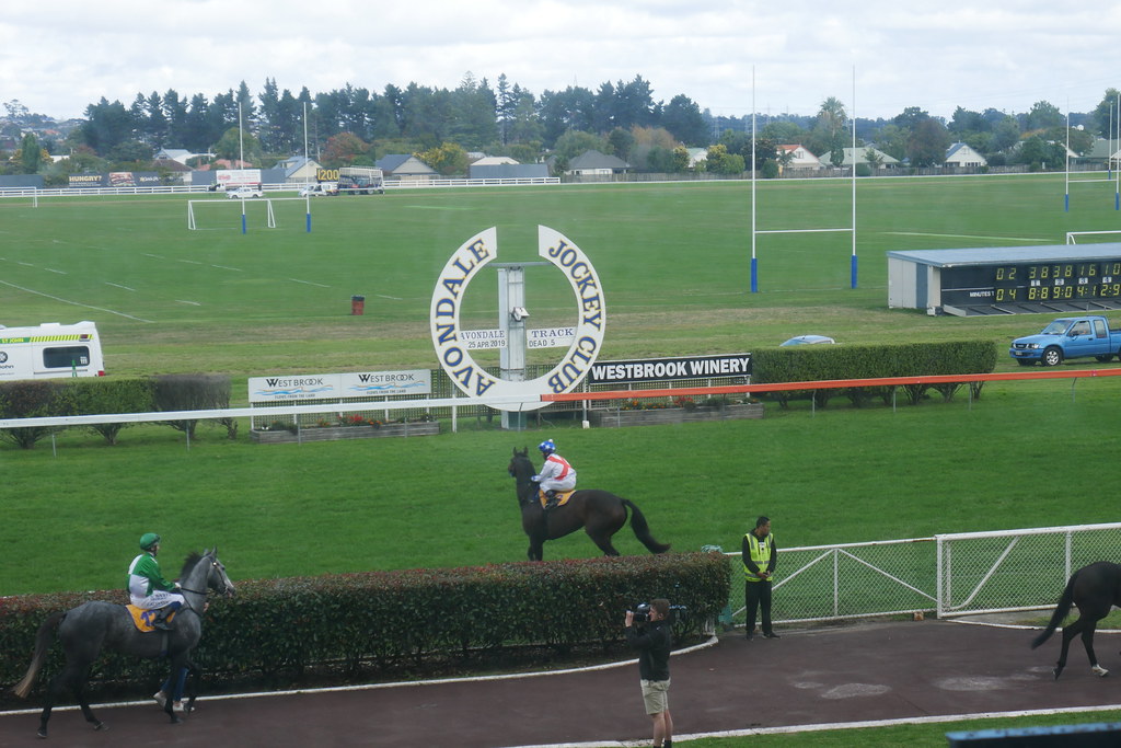 Avondale Racecourse