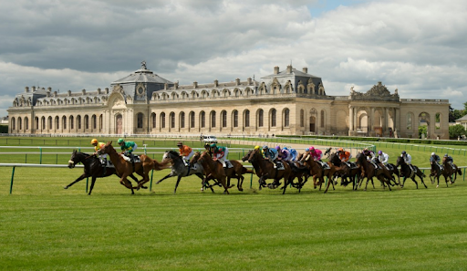 Chantilly Racecourse Horse Racing Live Stream : Results - Stats