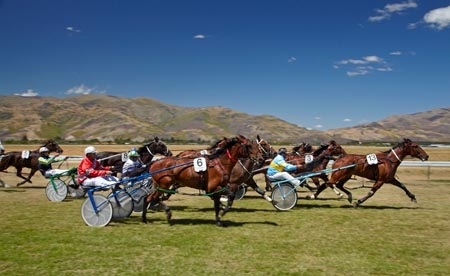 Cromwell Racecourse