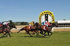 Dargaville Racecourse