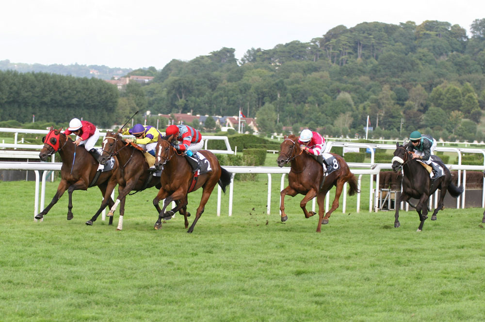 Watch Horse Racing Live Online