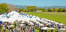 Hastings Racecourse