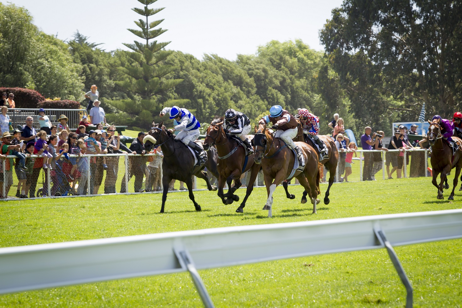 Otaki Racecourse