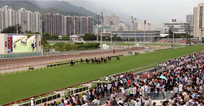 Sha Tin Racecourse Horse Racing Live Stream : Results - Stats