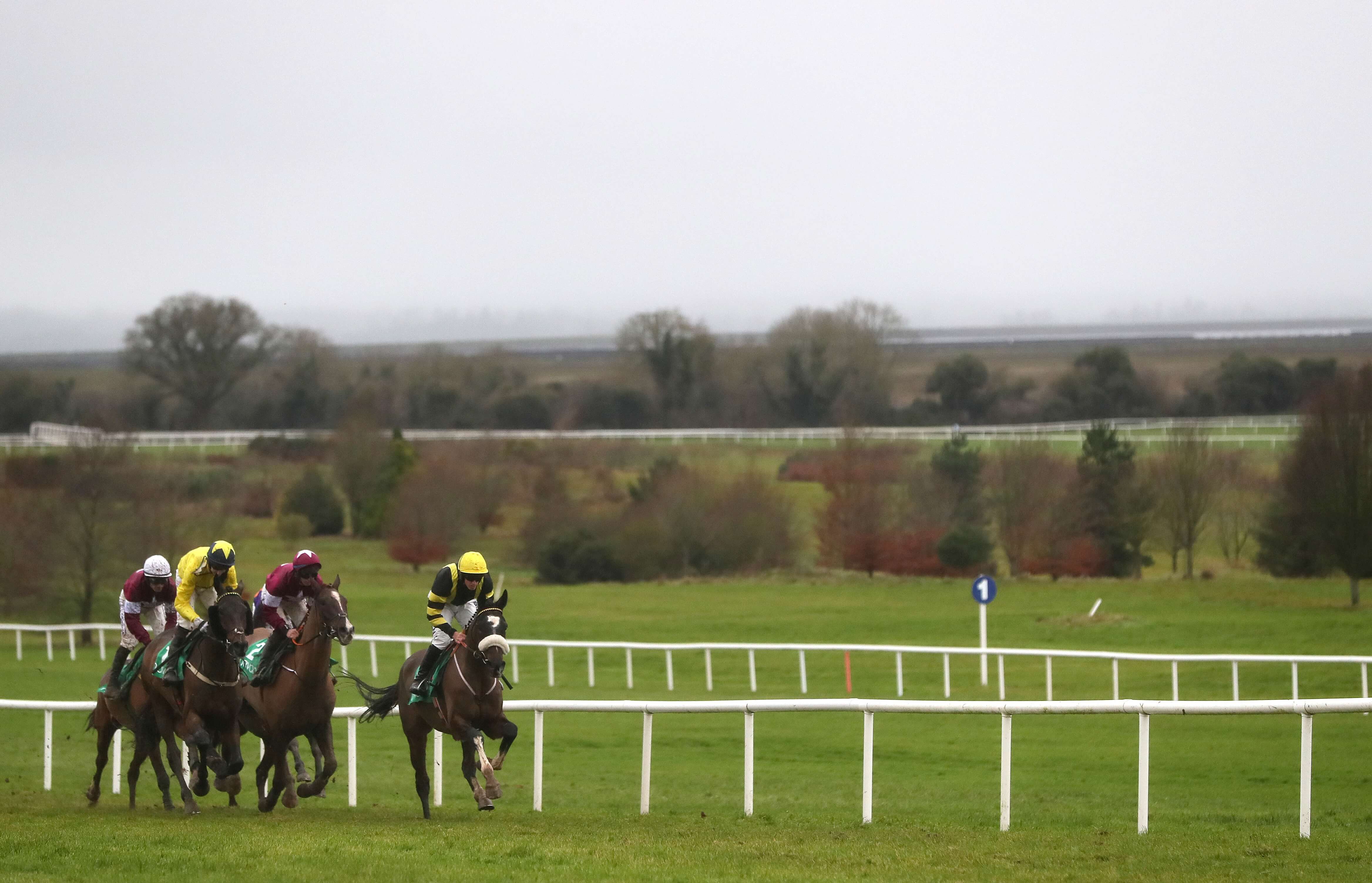 Waverley Racecourse